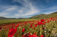 castelluccio 6 june 2013